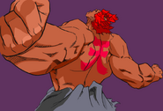 Akuma Alpha 3 Win pose