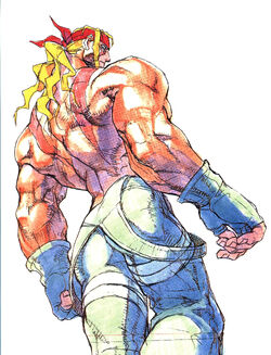 Kinu Nishimura, Street Fighter Wiki, Fandom in 2023