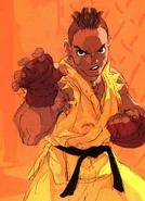 Street Fighter III: New Generation: art by Kinu Nishimura.
