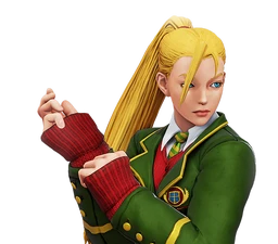 Cammy's School Costume