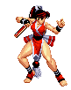 Real Bout Fatal Fury series