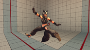 Ibuki's Wild Animal outfit is based off a tanuki (specifically Don-chan)