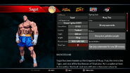 Sagat's profile 1