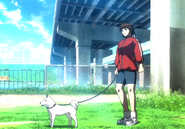 Sakura with a dog in Super Street Fighter IV