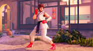 Sakura Battle Costume