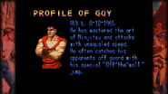 Another example of the "Ninjitsu" error in Guy's Final Fight bio.