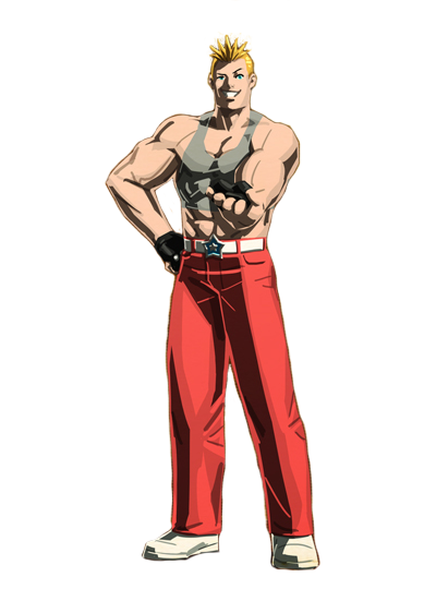 Street Fighter Collection, Street Fighter Wiki