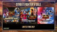 Street Fighter V Sale Advertisement