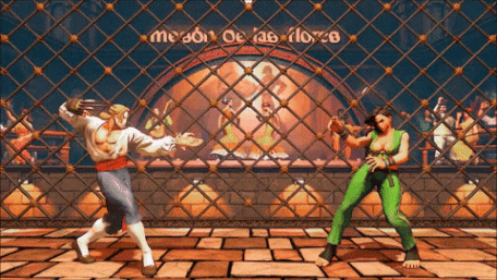 Cage Climb, Street Fighter Wiki