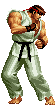 Ryu-snk-stand.gif