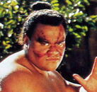 Peter "Navy" Tuiasosopo playing E.Honda in Street Fighter live-action film.