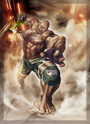 12 sfxtekken16.jpg