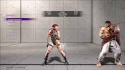 CammyModernAdvanced2