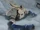 Super Street Fighter IV Original Video Animation