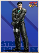 Shadaloo Combat Research Institute profile artwork (with background)