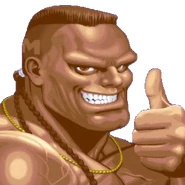 Ultra Street Fighter II portrait