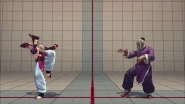 Light, Medium, and Heavy Fuhajin in Street Fighter IV (Hold)