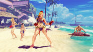 Cammy's Swimsuit DLC