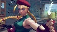 Street Fighter IV