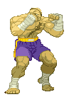 Sagat-stance.gif