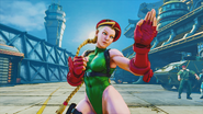 Cammy in her stance