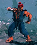 Akuma's Classic/Nostalgla Costume