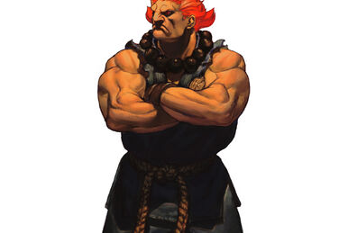 Did Capcom accidentally show off an early version of Akuma's model