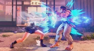 Hogasho.jpg (503 KB) Hogasho acting as Hadosho in Street Fighter V.