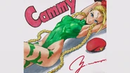Cammy artwork.