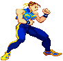 Sf-chunli.gif