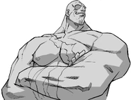 Street Fighter Alpha 3: victory portrait.