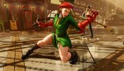 Cammy's Story Costume