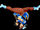 Chun-spinbirdkick.jpg