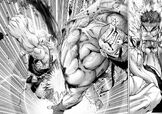 SF Novel-Evil Ryu vs Gouken-2