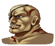 Sagat VS icon in World Warrior