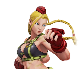 Cammy's Swimsuit Costume