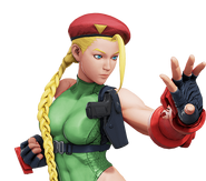 Cammy's Cannon Spike Costume