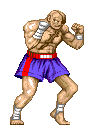 Sagat-sf2-stance1.gif