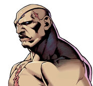 Sagat art