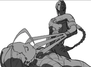 Vega and Cammy