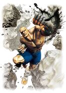 Ssf4-sagat big