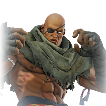 Sagat Street Fighter Wiki Fandom