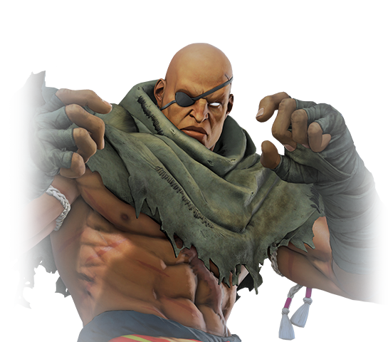 I hope Balrog, Vega and Sagat appear in SF6 to complement the classic  characters in the roster (I wonder how they will be in the game and their  lore) : r/StreetFighter