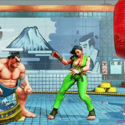 Category E Honda S V Skills Street Fighter Wiki Fandom