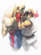 SFIV-Ryu vs Sagat