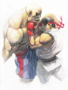 SFIV-Ryu vs Sagat.jpg (3.61 MB)