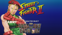 Character Select, Street Fighter Wiki