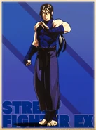 Shadaloo C.R.I. profile artwork ver.1