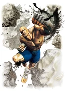 Super Street Fighter IV character artwork.