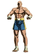 Sagat SFV Encyclopedia.jpg (159 kB) Ilustración nueva para Shadaloo Combat Research Institute.